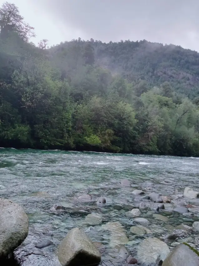 Terrenos desde 5000 m2 en Cochamó