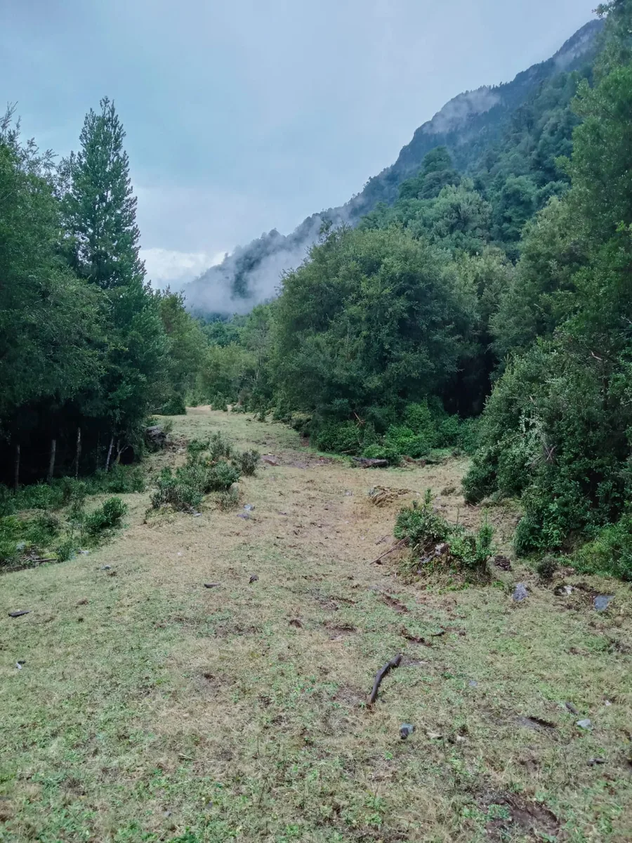 Terrenos desde 5000 m2 en Cochamó — foto 3
