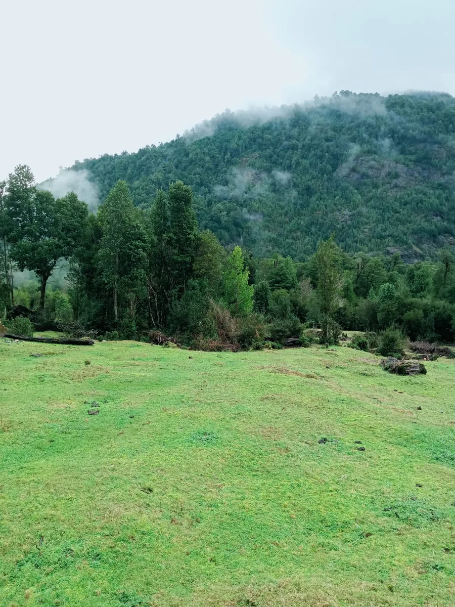 Terrenos desde 5000 m2 en Cochamó — foto 4