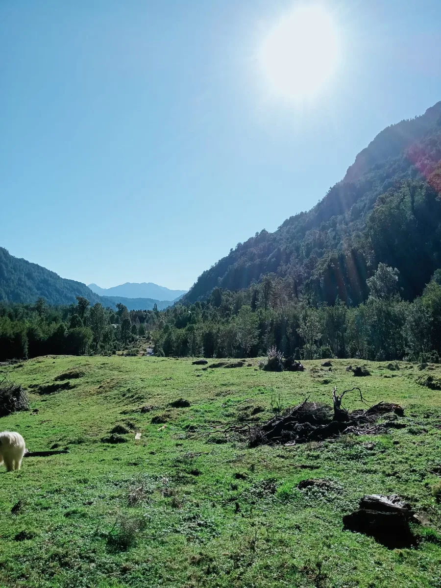 Terrenos desde 5000 m2 en Cochamó — foto 5