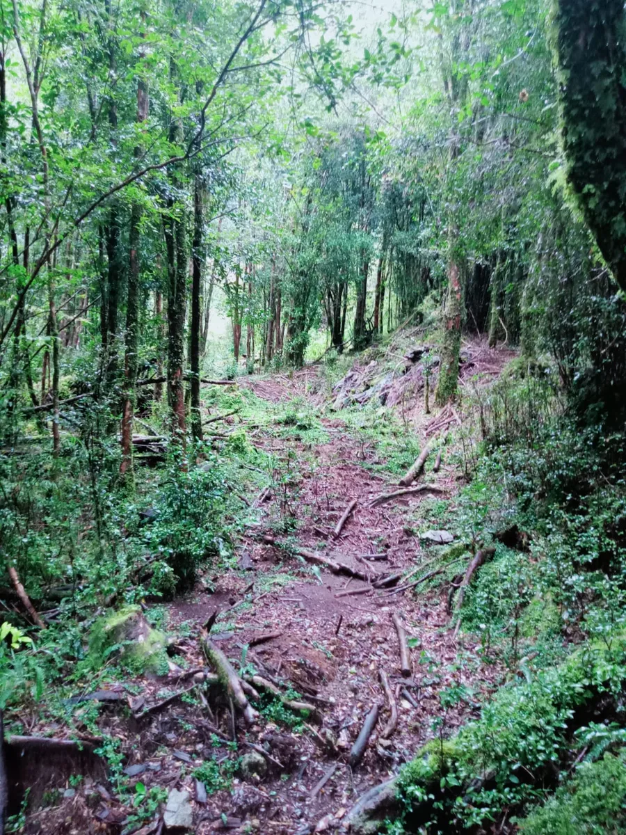 Terrenos desde 5000 m2 en Cochamó — foto 9