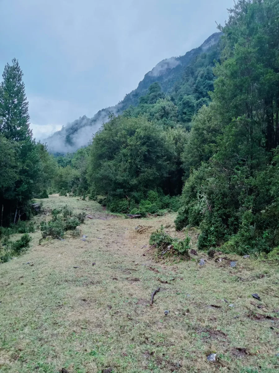 Terrenos desde 5000 m2 en Cochamó — foto 10