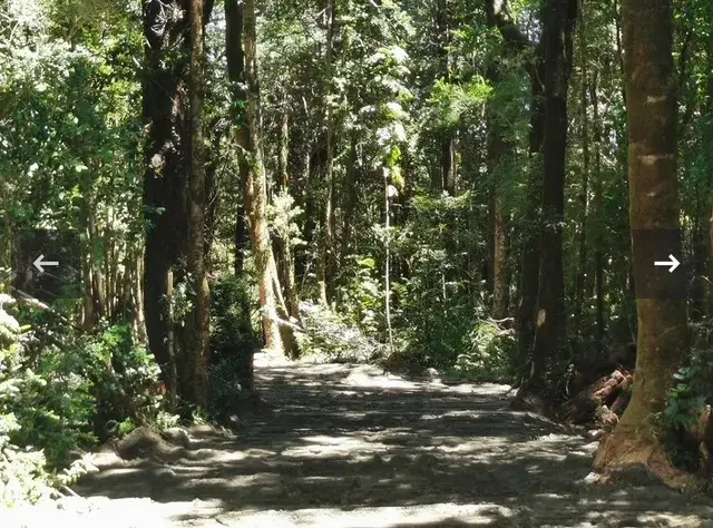 Hermosa parcela de 10.000 m2 con casa y orilla de río Peñol 