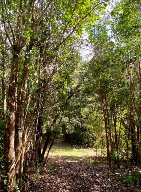 Hermosa parcela de 10.000 m2 con casa y orilla de río Peñol  — foto 3
