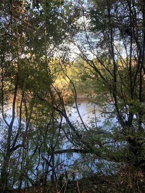 Hermosa parcela de 10.000 m2 con casa y orilla de río Peñol  — foto 5