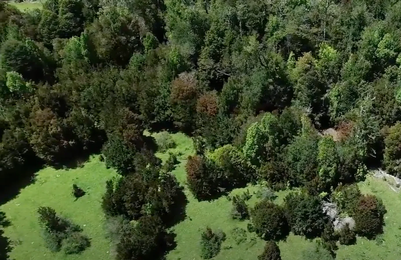 Loteo proyecto Patagonia Verde — foto 3