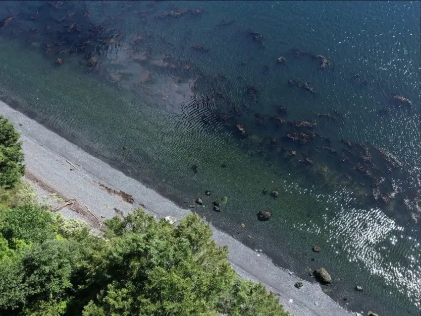 Parcela Isla Huemules