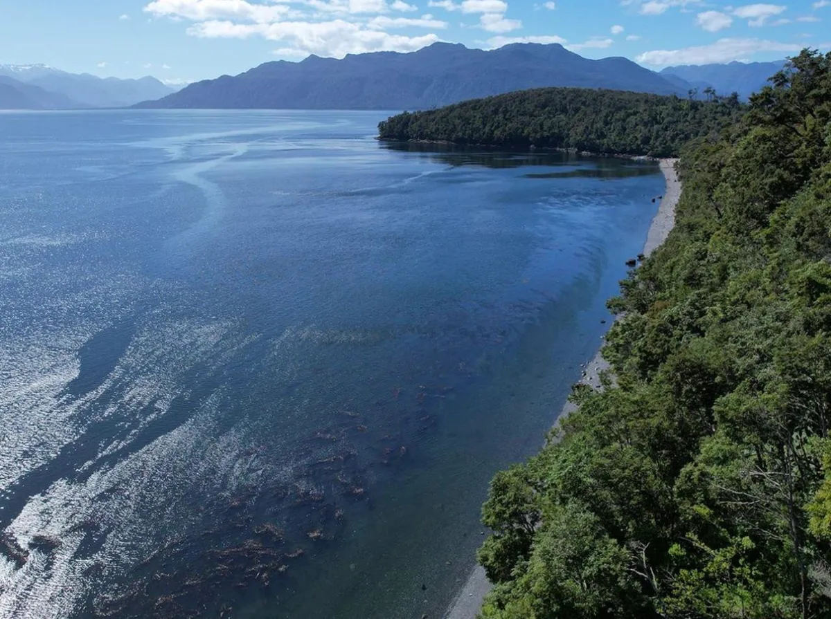 Parcela Isla Huemules — foto 4
