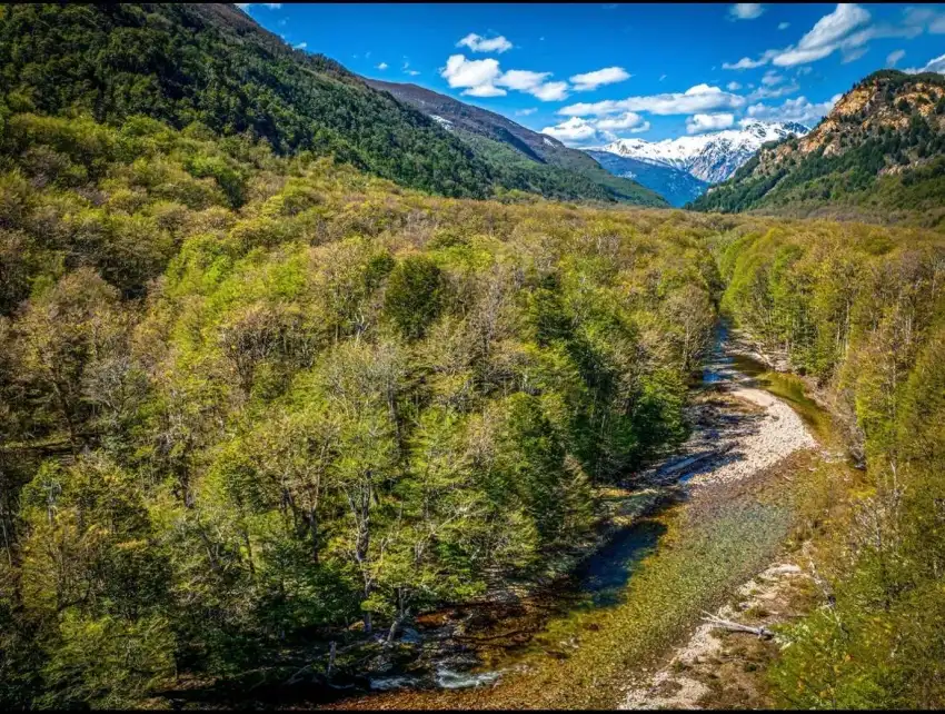 Hermoso Predio de Bosques Sustentables en la Patagonia