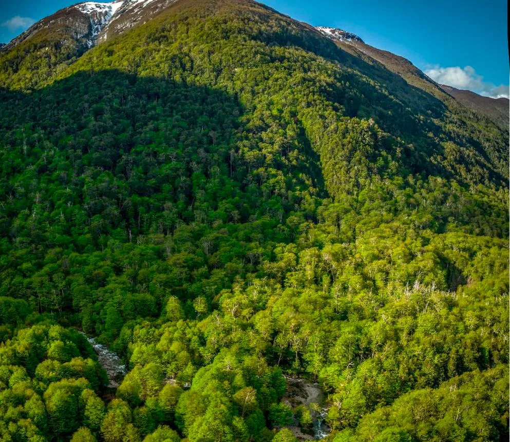 Hermoso Predio de Bosques Sustentables en la Patagonia — foto 4