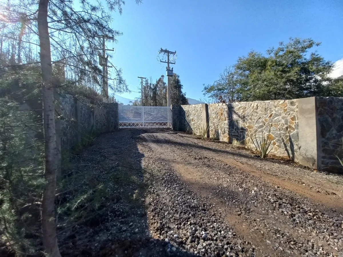 terreno 5000 m2 Requínoa — foto 6