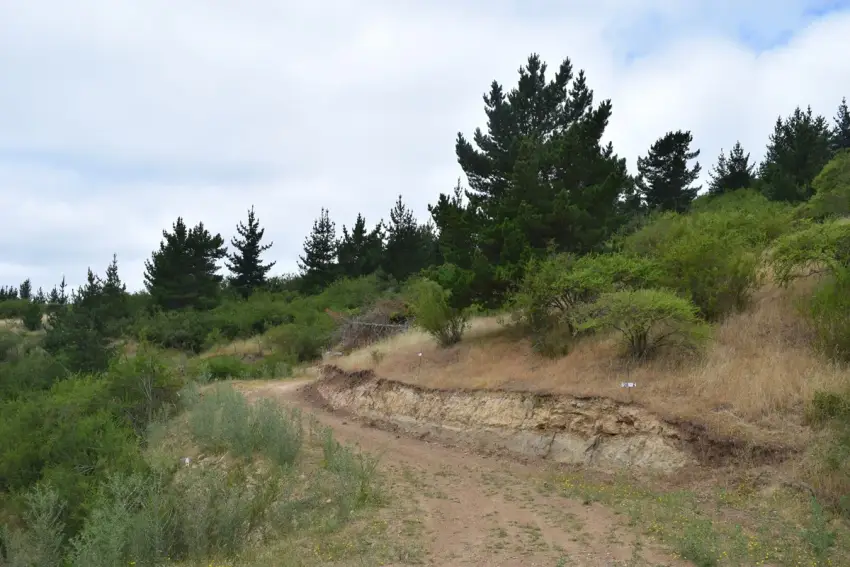 PARCELA EN SAN ENRIQUE