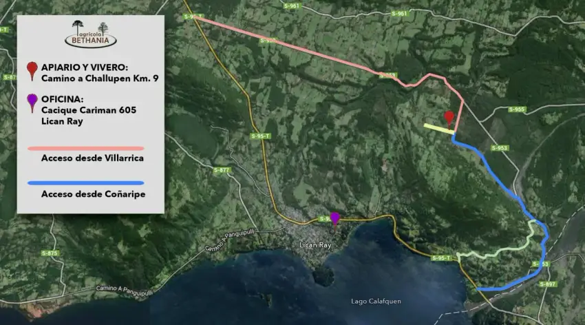Loteo Challupen Alto LicanRay -Coñaripe