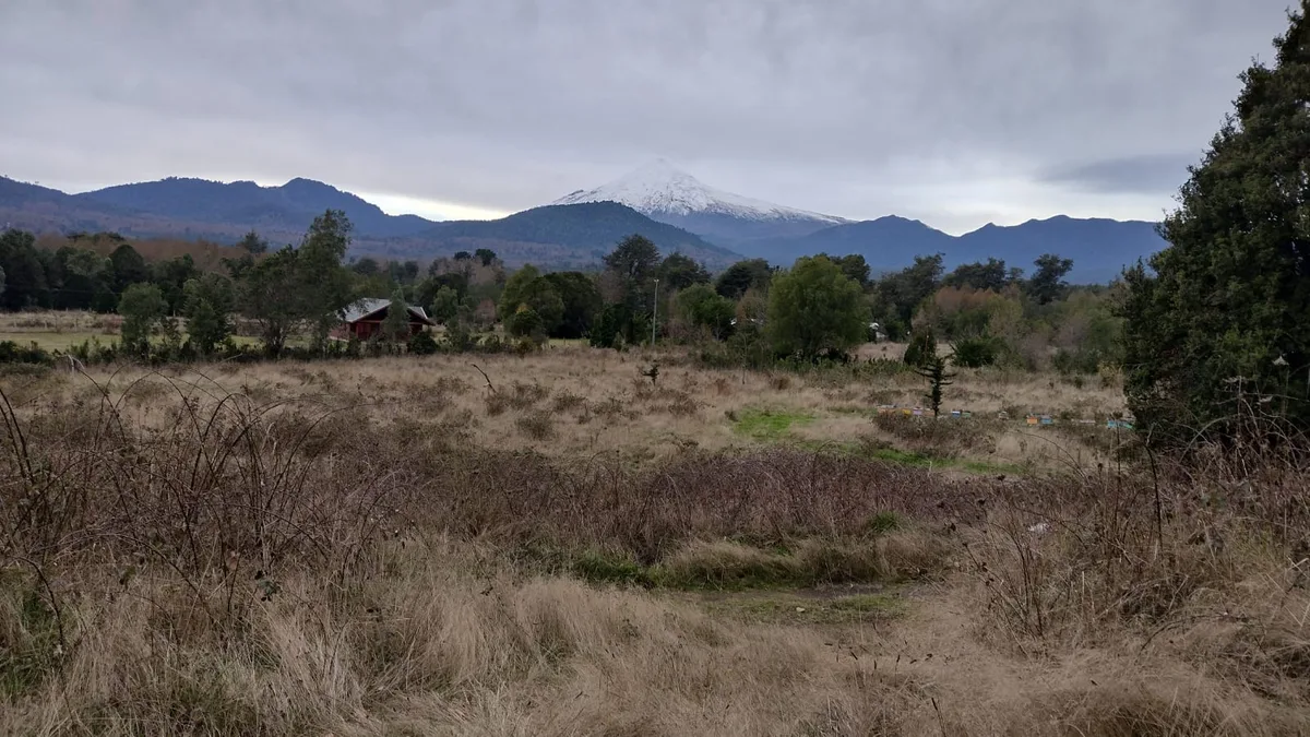 Loteo Challupen Alto LicanRay -Coñaripe — foto 3