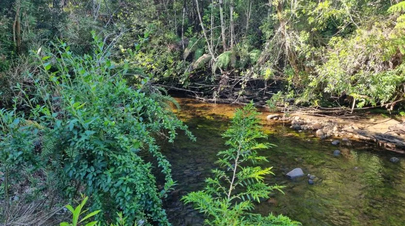 Parcelas, Alerces de Lauca, Puerto Montt — foto 7