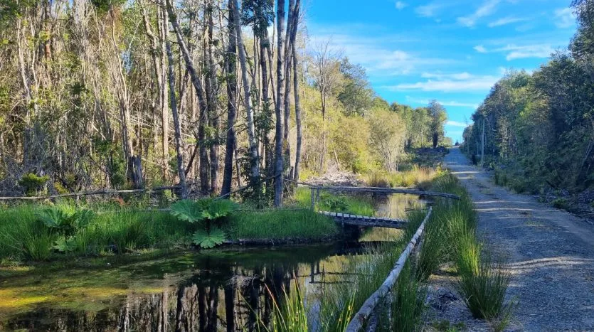Parcelas, Alerces de Lauca, Puerto Montt — foto 5