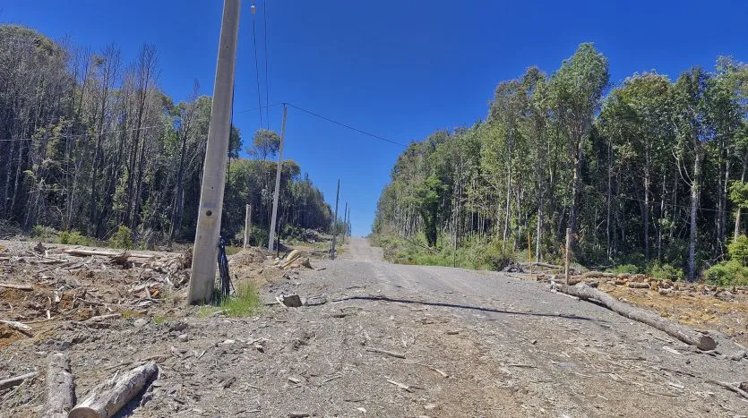 Parcelas, Alerces de Lauca, Puerto Montt — foto 3