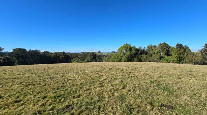 Terreno 1Ha, Sector Sta. María, Puerto Varas — foto 8