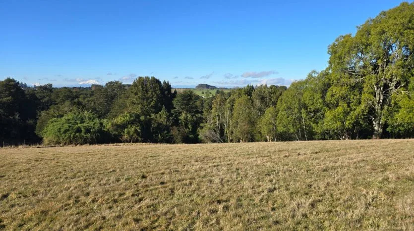 Terreno 1Ha, Sector Sta. María, Puerto Varas — foto 7