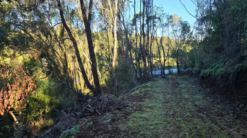 Terreno 1Ha, Sector Sta. María, Puerto Varas — foto 4