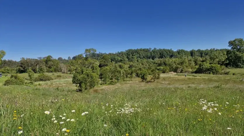Parcela, Terrazas de Puerto Varas, Puerto Varas