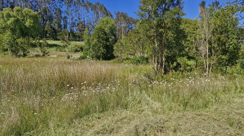 Parcela, Terrazas de Puerto Varas, Puerto Varas — foto 5