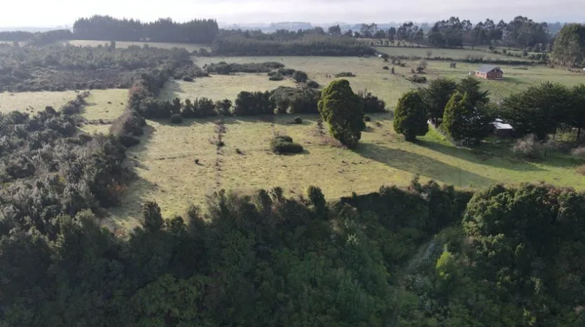 Oportunidad! Terrenos, Isla Puluqui, Calbuco — foto 3