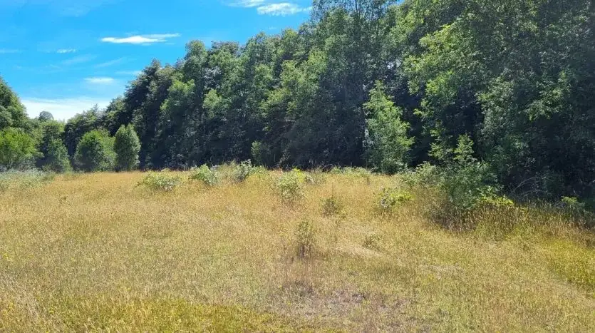 Terreno 17 Ha, Cañitas, Los Muermos