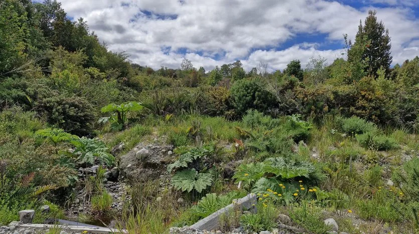 Parcela, Hacienda Chamiza, Puerto Montt — foto 8