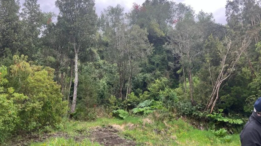 Parcela Bosque Nativo Puerto Varas — foto 4