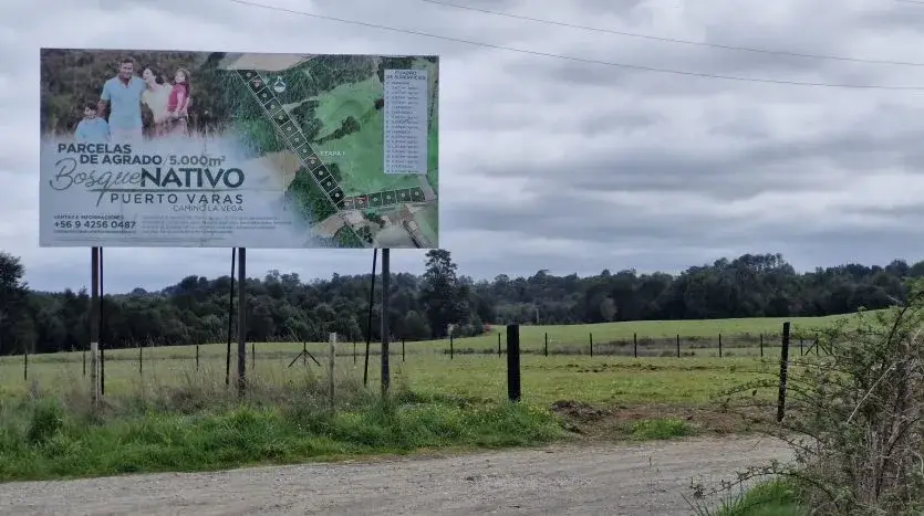 Parcela Bosque Nativo Puerto Varas