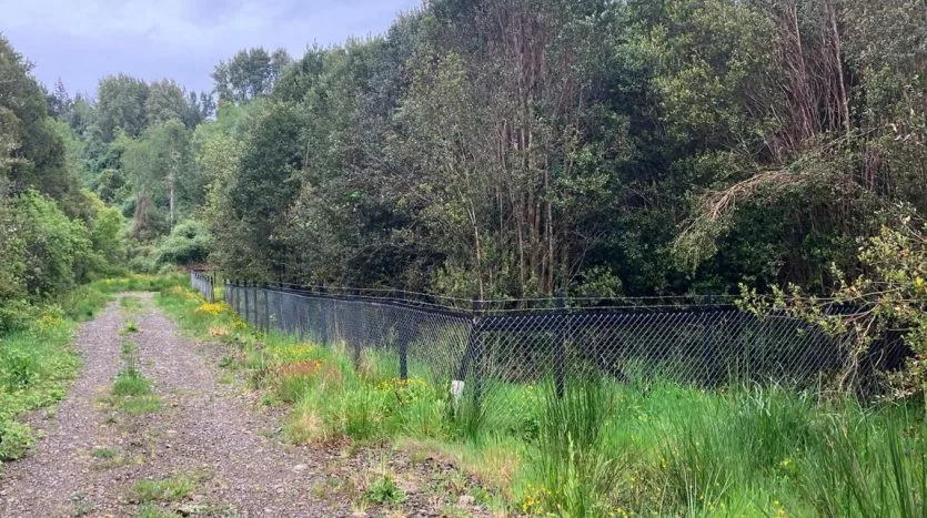 Parcela Bosque Nativo Puerto Varas — foto 5