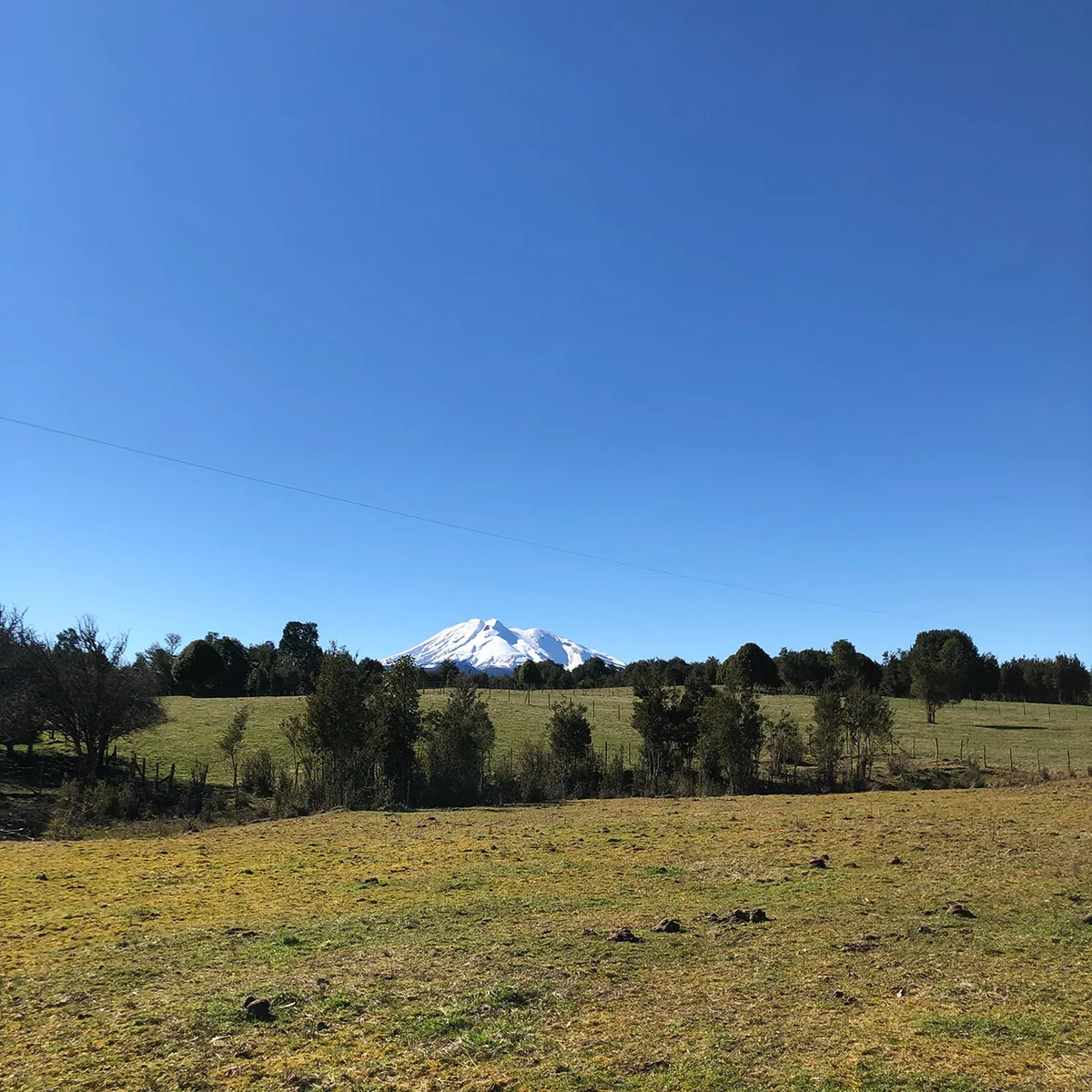 Parcelación Vive Bosque, Puerto Varas/Puerto Montt — foto 3