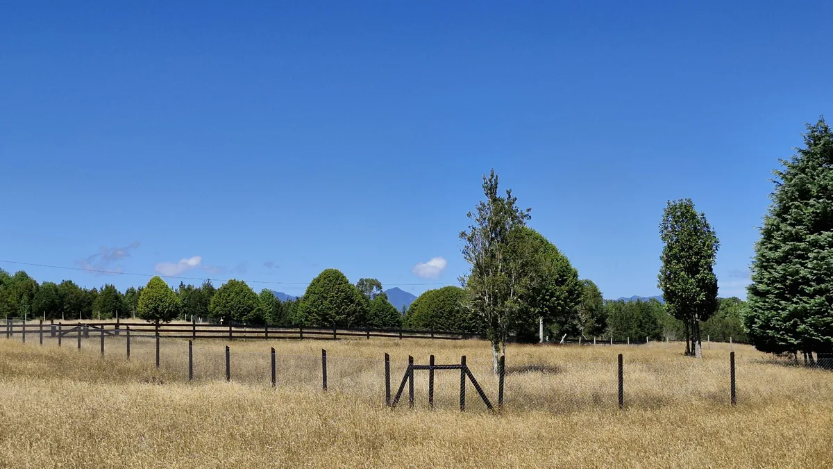 Parcelación Vive Bosque, Puerto Varas/Puerto Montt — foto 5