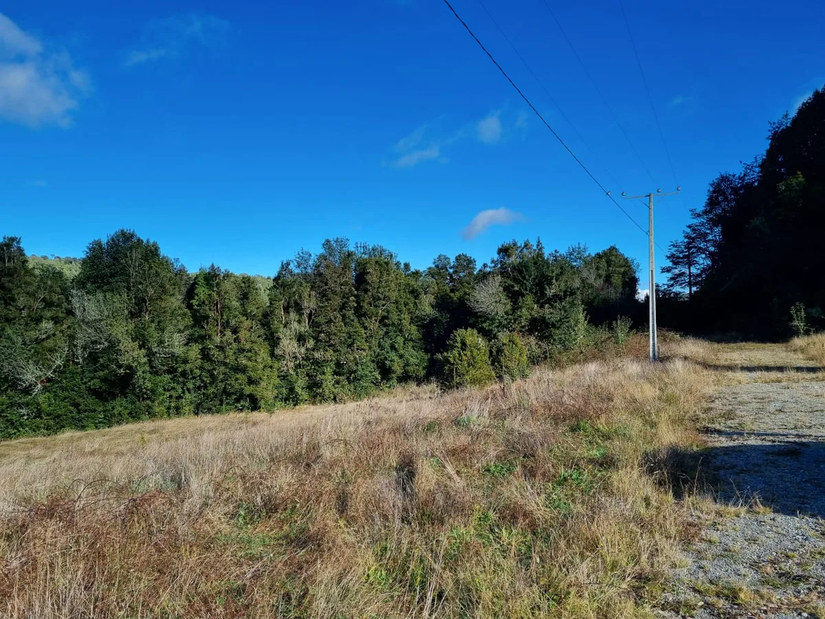 Parcela, Pillán Mahuida – Chamiza, Puerto Montt — foto 5