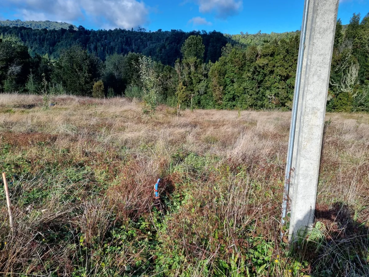 Parcela, Pillán Mahuida – Chamiza, Puerto Montt — foto 6