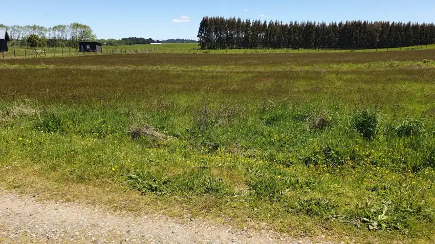 Parcela Aires del Sur – Pichilaguna, Llanquihue