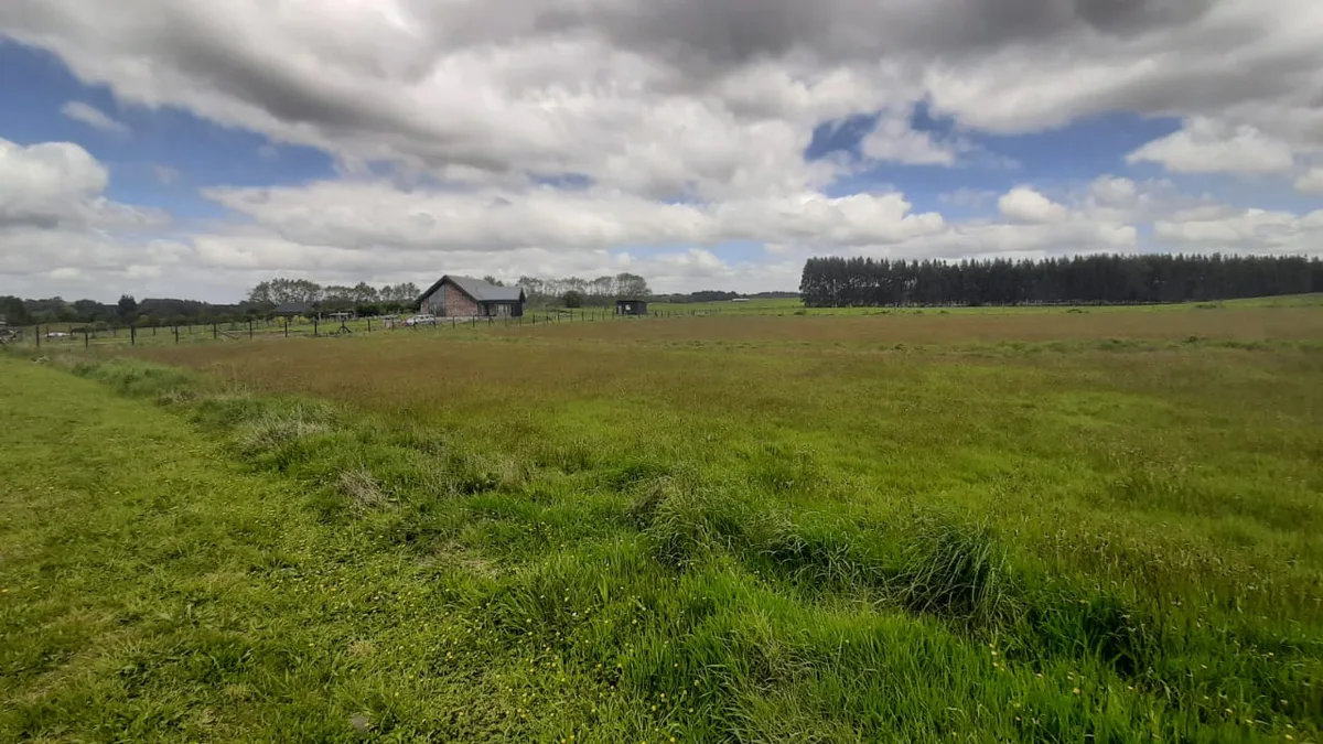 Parcela Aires del Sur – Pichilaguna, Llanquihue — foto 6