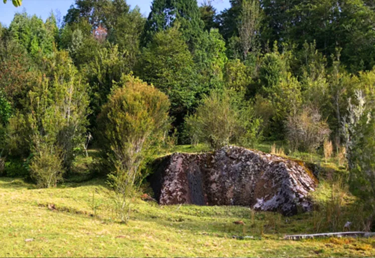 Terreno 12.70 hectáreas, Colonia Sargazo, Puerto Montt — foto 4