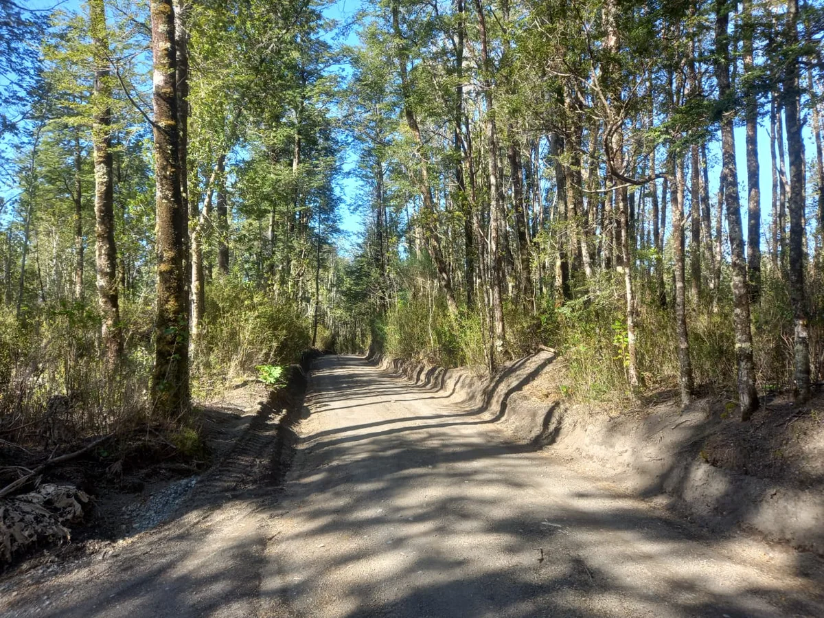 Parcela, Parque Volcanes, Ensenada, Puerto Varas — foto 4