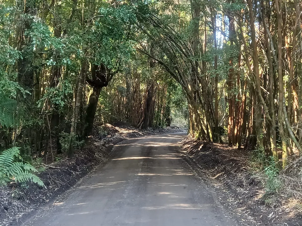 Parcela, Parque Volcanes, Ensenada, Puerto Varas — foto 3