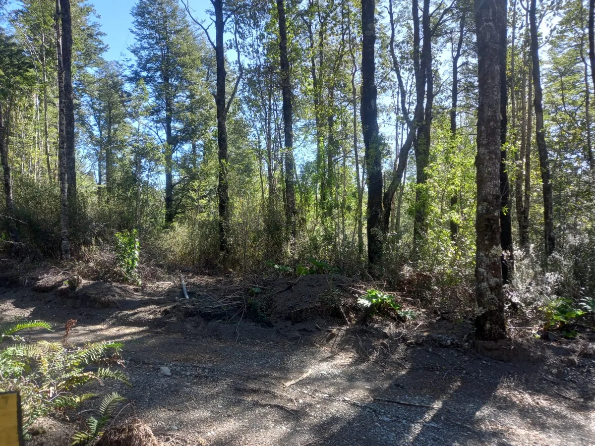 Parcela, Parque Volcanes, Ensenada, Puerto Varas — foto 5