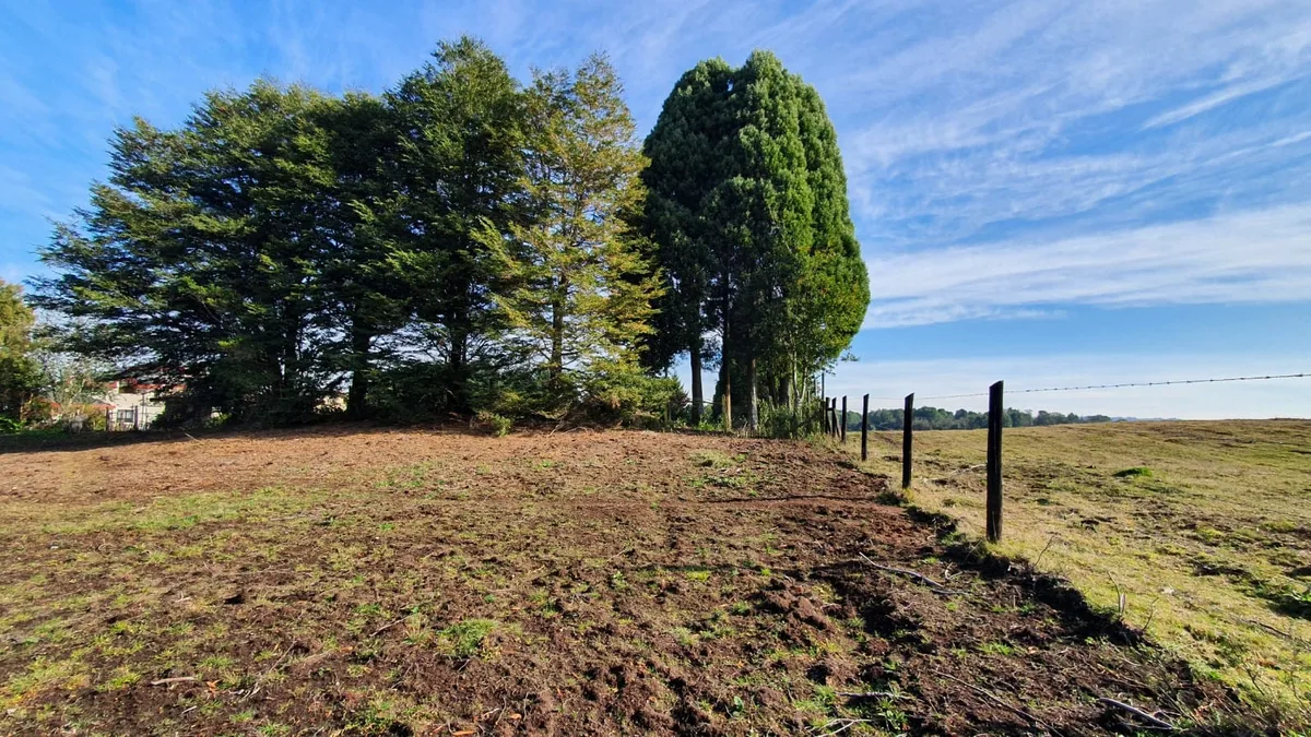 Parcela, Avellanos de Trapén, Puerto Montt — foto 6