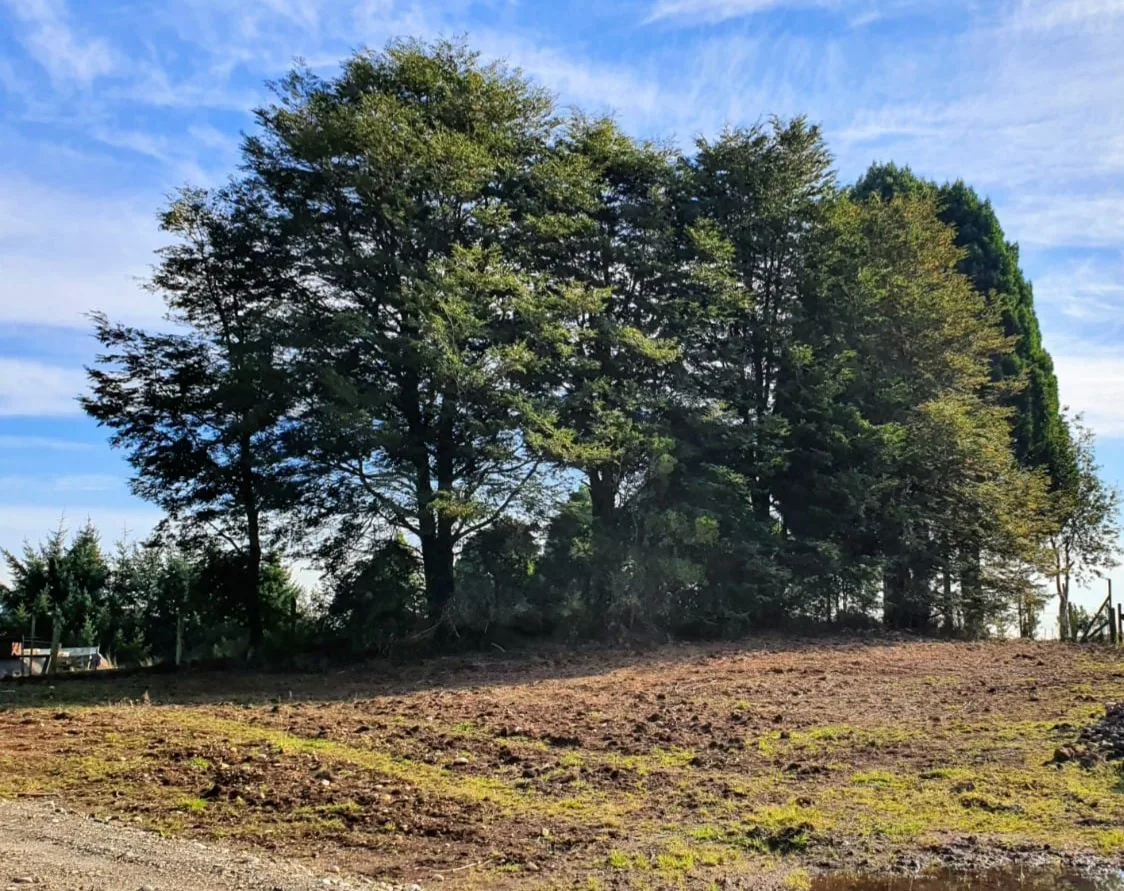 Parcela, Avellanos de Trapén, Puerto Montt — foto 7