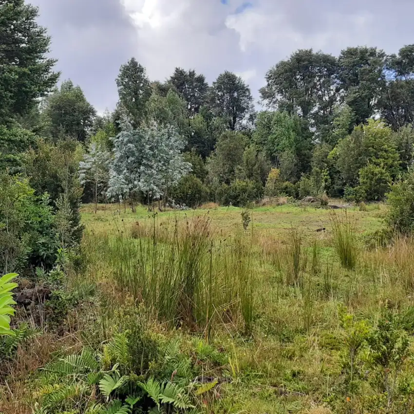 Terreno 1,9 Hectareas, La Poza, Puerto Varas