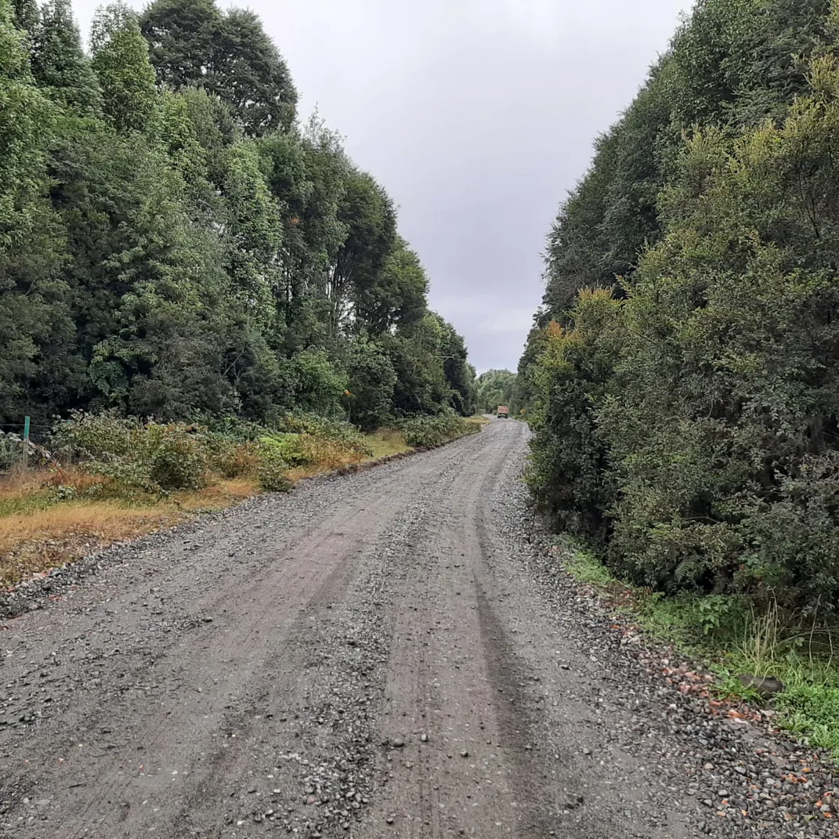 Terreno 1,9 Hectareas, La Poza, Puerto Varas — foto 7