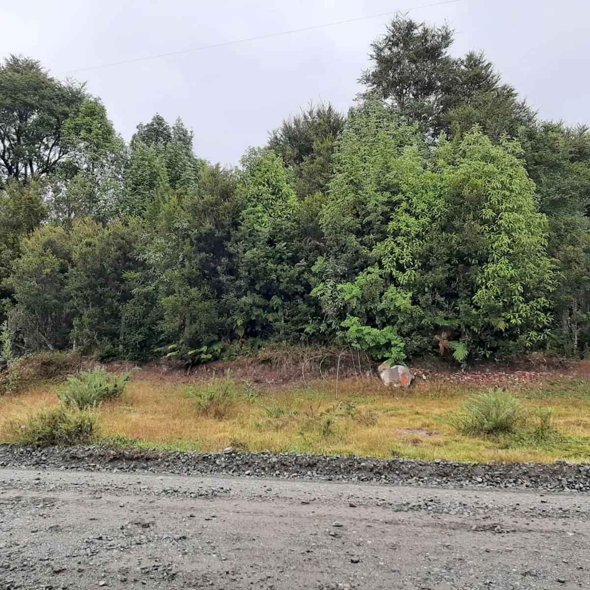 Terreno 1,9 Hectareas, La Poza, Puerto Varas — foto 8