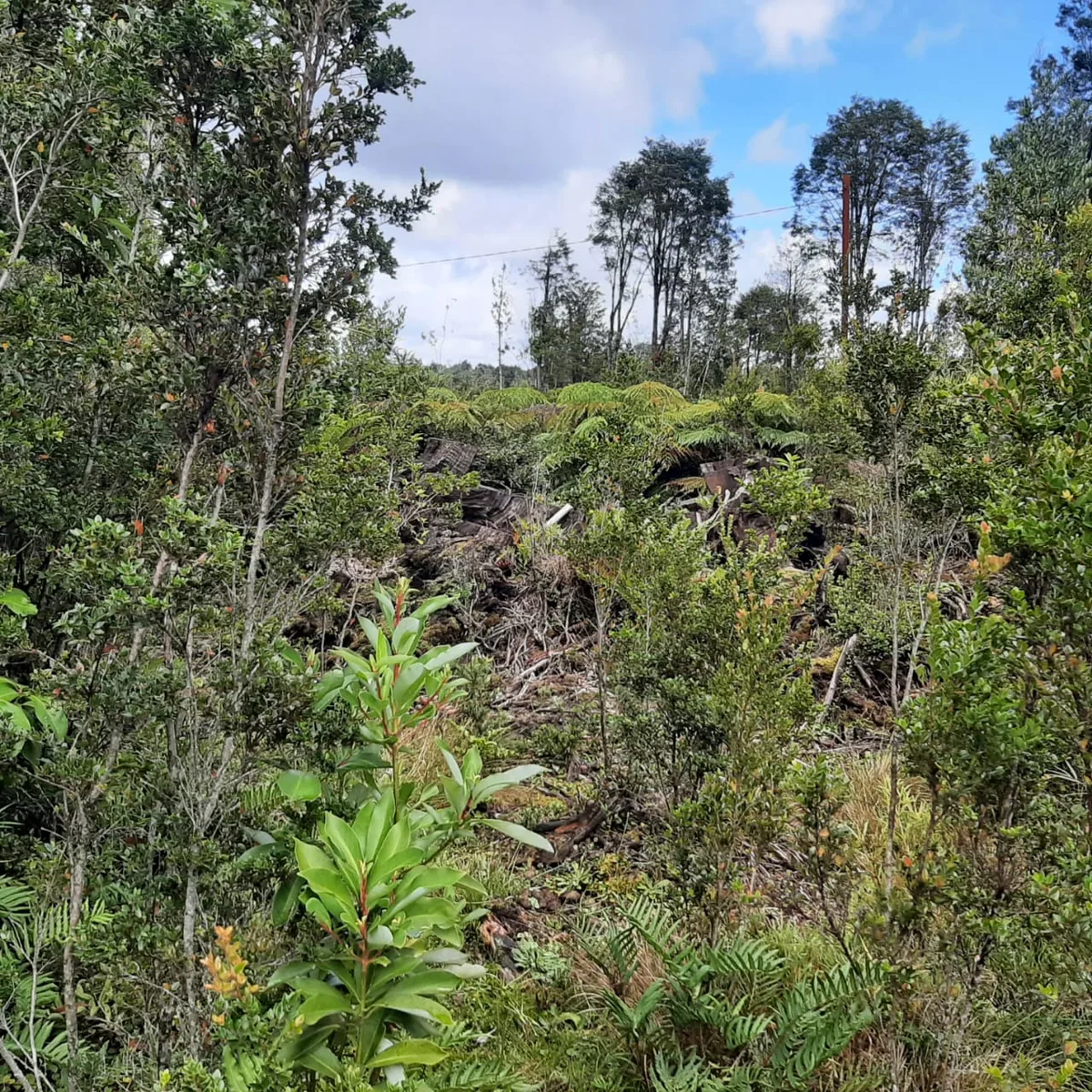 Terreno 1,9 Hectareas, La Poza, Puerto Varas — foto 3