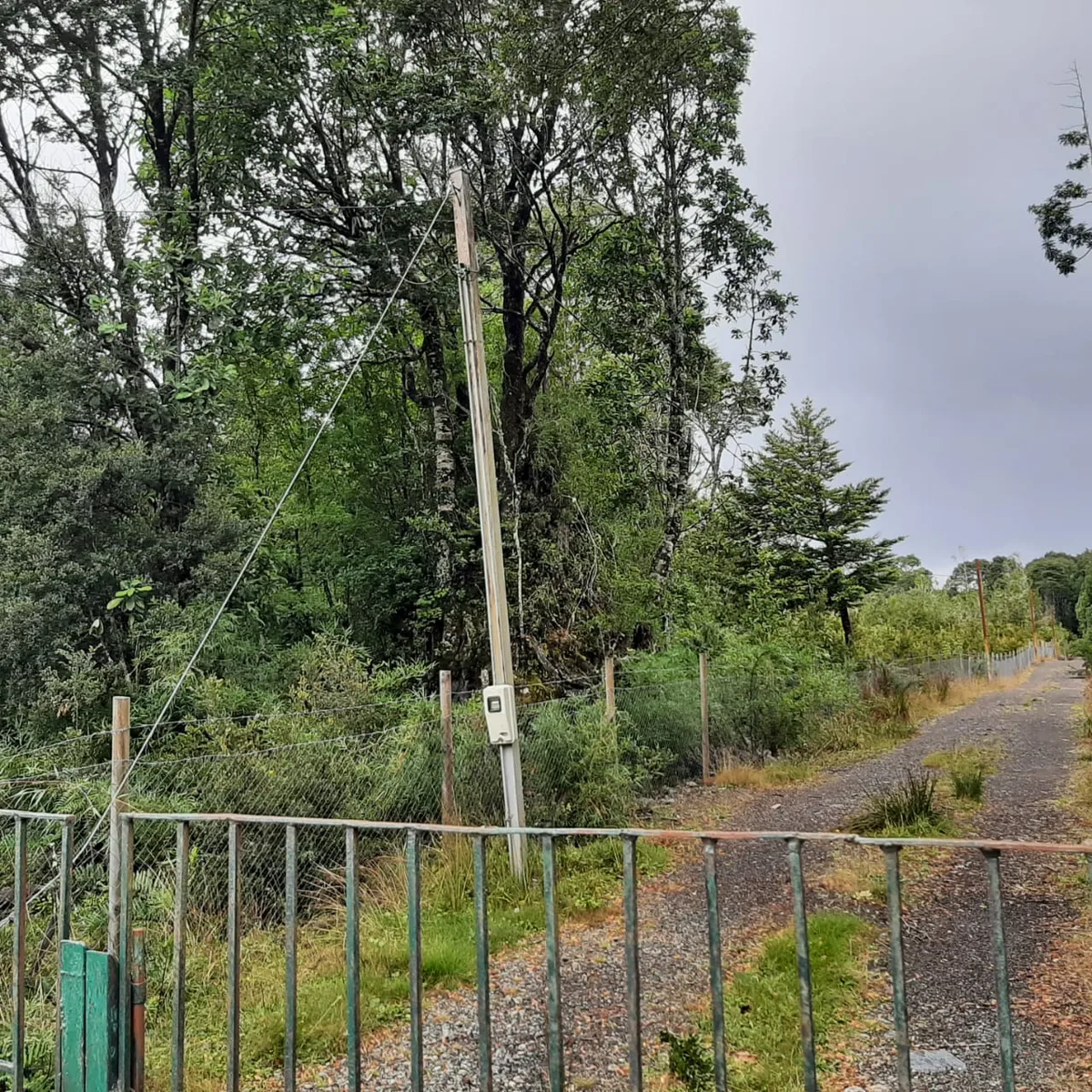 Terreno 1,9 Hectareas, La Poza, Puerto Varas — foto 6