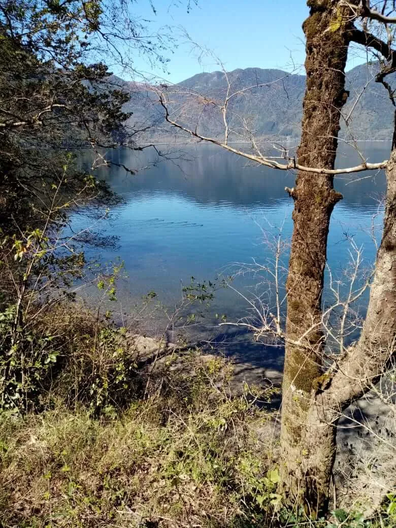 Terreno 4 Ha, Acceso Lago Colico — Cunco, Araucanía — foto 8